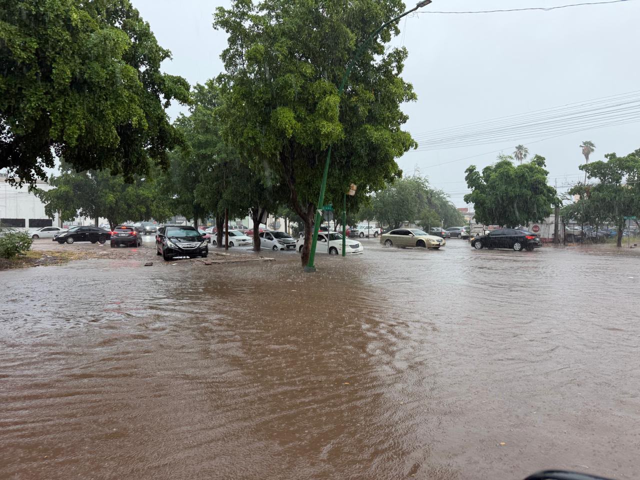 Intensa lluvia deja 18 reportes y provoca afectaciones en calles y comercios de Cajeme